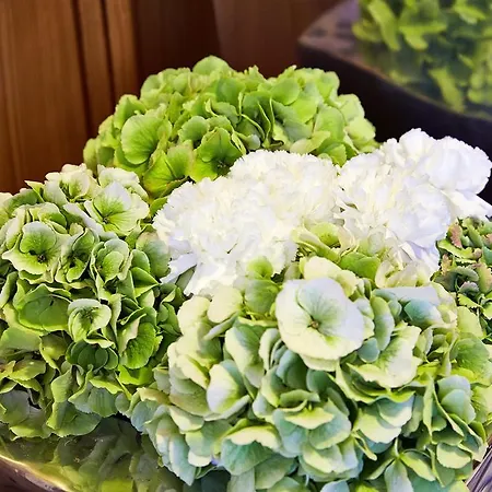 Angela 호텔 메이른호픈