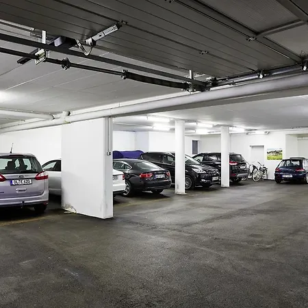 Angela 메이른호픈