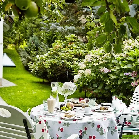 Angela 메이른호픈