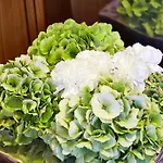 Angela فندق مايرهوفن